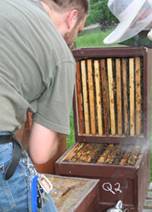 Arbeit am Bienenkasten.jpg