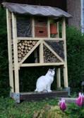 Insektenhotel.jpg